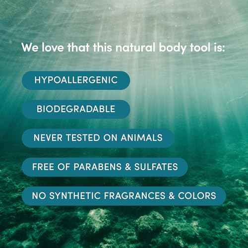 LATHER - Natural Sea Wool Sponge, 5-6" - Organic Exfoliating Body Scrubber - Soft, Gentle Cleansing - Hypoallergenic - All Skin Types - Florida Natural Loofah Sponge - Cruelty Free - Beauty & Skincare