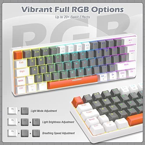 ZIYOU LANG RK-T60 Wired Mechanical Gaming Keyboard Mini Portable with Rainbow Backlit 62Key ABS Keycaps Full Anti-Ghosting Ergonomic Design Coiled Aviator Cable for PS4/PC/WIN Gamer(Blue/Red Switch)