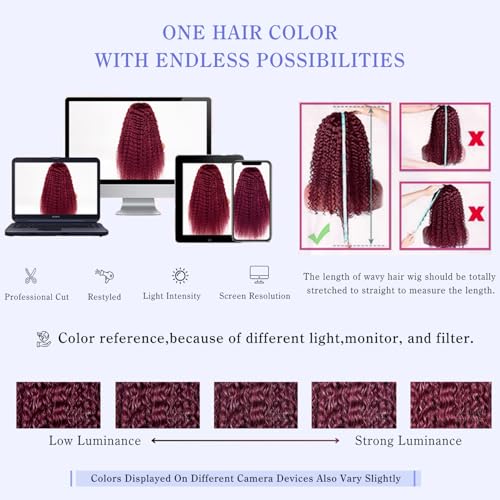 Estilar 99j 13x6 HD Lace Front Wigs Human Hair Burgundy Curly Human Hair Wig with Baby Hair 200 Density Red Deep Wave Lace Front Wigs for Women 22 Inch