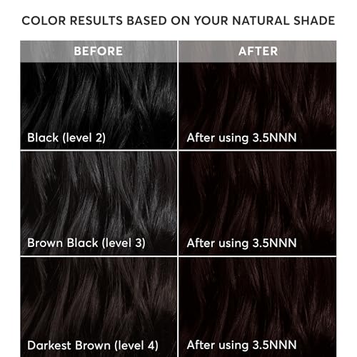 Madison Reed Radiant Hair Color Kit | 3.5NNN Darkest Brown-Black (Ravenna Brown) 100% Maximum Gray Hair Coverage | Permanent Hair Dye for Resistant Grays | PPD-Free & Ammonia-Free |1 Pack