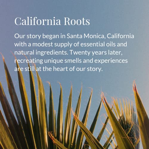 Archipelago Botanicals Hand-Poured Soy Wax Blend Scented Candle with Fragrance Oils, Lead-Free Cotton Wicks, Glass Candle Jar with Gift Box, Burns Approx. 60 Hours, Eucalyptus, 10 Oz.