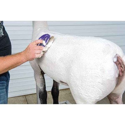 Weaver Leather Livestock Brightening Shampoo, 1-Gallon