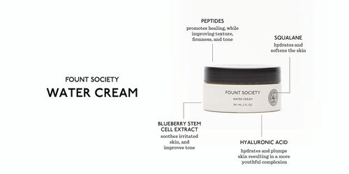 Fount Society Water Cream Moisturizer, 2 FL OZ