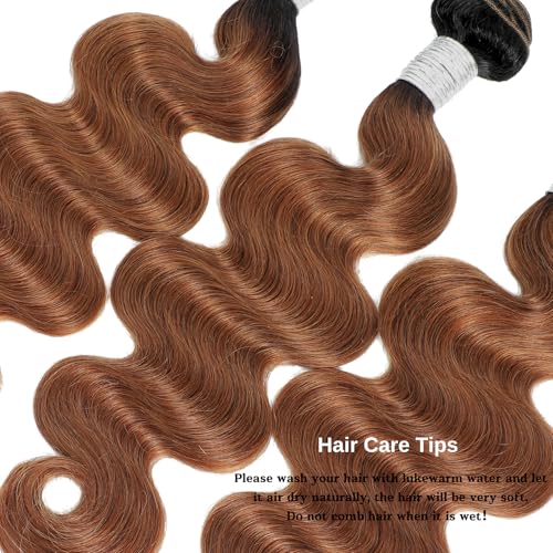 ALHER T1B/30 Human Hair Bundles Body Wave, 12A Ombre Brown Colored 3 Bundles Dark Root Two-tone, 100% Brazilian Virgin Remy Human Hair for Black Women Soft Thick Wavy 14 16 18 Inch
