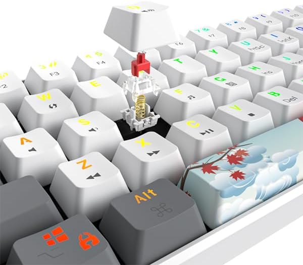 60 Percent Gaming Keyboard Mechanical with Linear Red Switch, 65% Wired Ultra-Compact Mini Keyboard Rainbow with PBT Keycaps for Ps4/Ps5/Xbox(68 Green)
