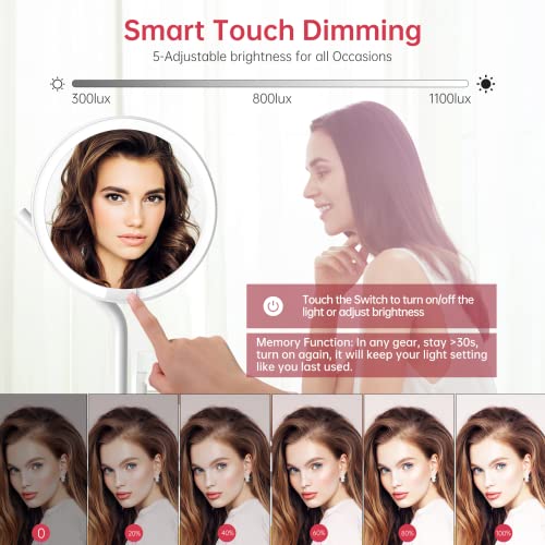 AMIRO 8'' LED Makeup Mirror, 5-Level Brightness/Touch Screen Control/Memory Function/180¡Æ Rotation/Detachable Small 5X Magnification Mirror