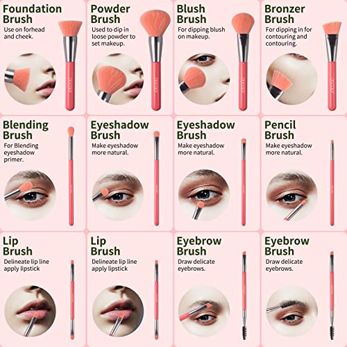 Docolor Makeup Brushes 10Pcs Makeup Brush Set Premium Synthetic Powder Foundation Contour Blush Concealer Eye Shadow Blending Liner Make Up Brush Kit - Neon Peach