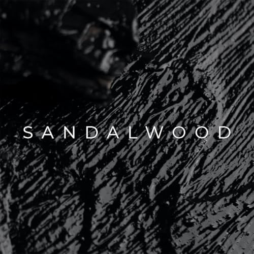 Michel Germain Sexual Noir Pour Homme Eau de Parfum