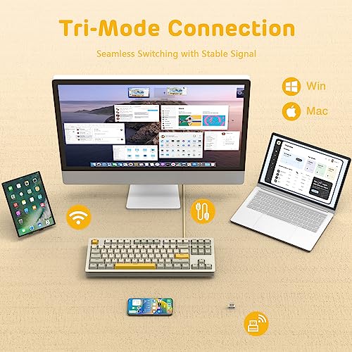 AKC087 Wireless Mechanical Keyboard, 87 Keys Compact TKL Gaming Keyboard, BT5.0/2.4G/Wired 75% Keyboard, RGB Hot Swappable Mechanical Keyboard OEM Profile Yellow Switch for Windows Mac Laptop