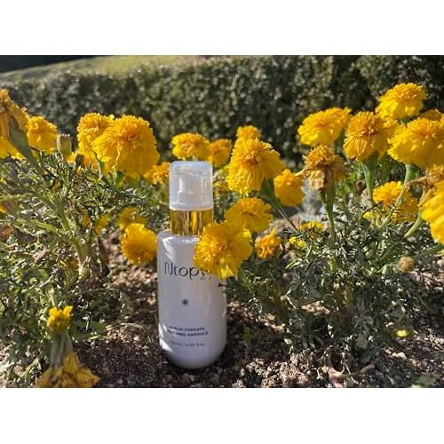 N.Bios Ntopy Aralia Cordata Soothing Ampoule - Korean Ampoule for Face, Moisture Ampoule, Ultimate Calming for sensitive skin, 4.05 oz