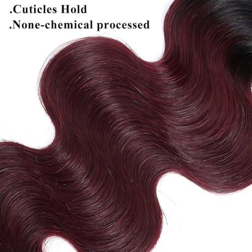 1B/99J Ombre Body Wave Bundles Human Hair 3 Bundles Human Hair Body Wave 100% Unprocessed Brazilian Virgin Human Hair Extensions(18 20 22Inch)