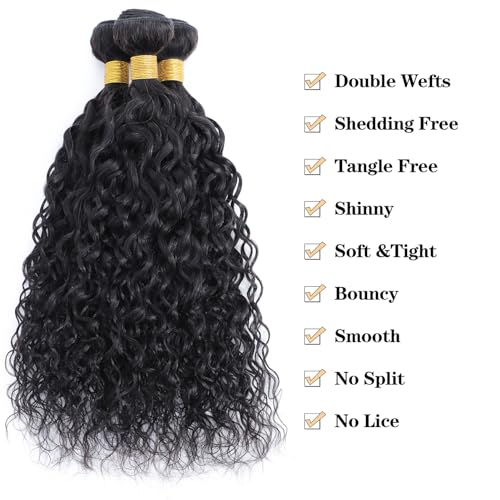 ROYAL IMPRESSION 12A Water Wave 3 Bundles Human Hair 12" 14" 16" 300g 100% Unprocessed Brazilian Virgin Hair Wet and Wavy Human Hair Weave Bundles Natural Color