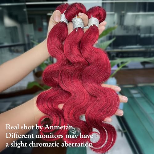 Red Burgundy 3 Bundles Human Hair Body Wave, 12A Colored 100% Unprocessed Remy Hair Soft and Bouncy Burgundy Cherry Red 99J Human Hair Wavy Bundles Sew in Double Weft Quick Weave 10 12 14 Inch