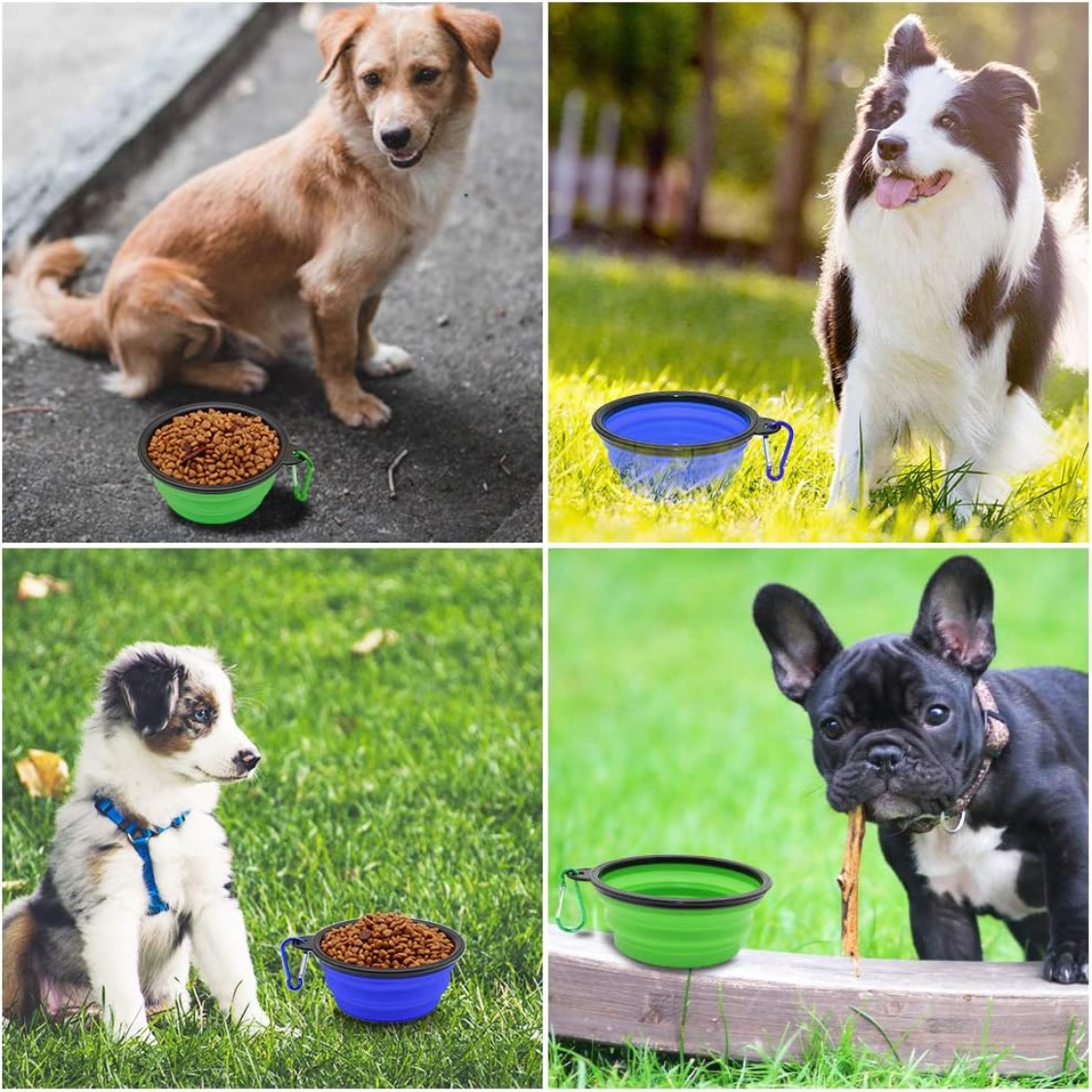 Collapsible Pet Bowl Set for Dogs and Cats - Travel Water & Food Bowls with Carabiners - Multicolor 2 Pack