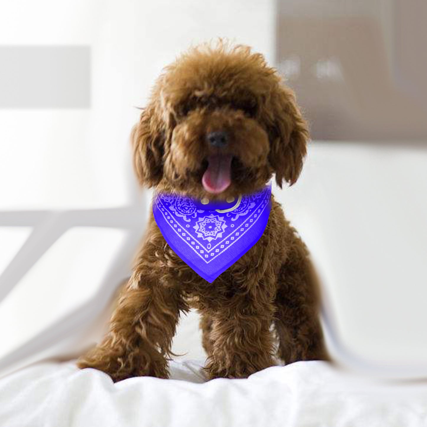 Adjustable Bandana Leather Pet Collar - Triangle Scarf