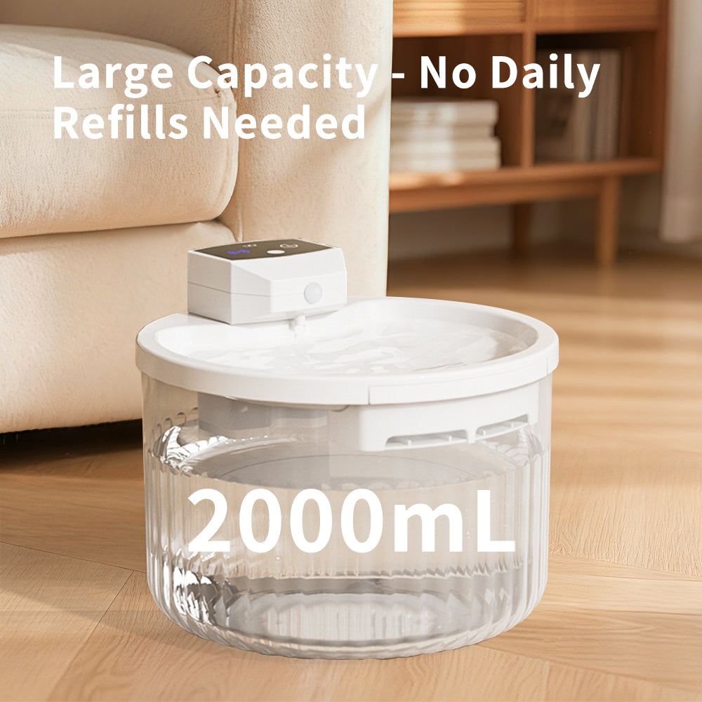 Pet Drinking Water Feeder with Self Pickup Option