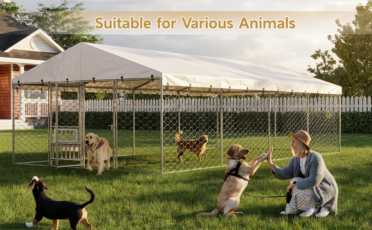 Large Outdoor Dog Kennel with Canopy - Heavy Duty Galvanized Steel Frame, Waterproof Cover, Elevated Feeders, Escape-Proof Locking Pet Run
