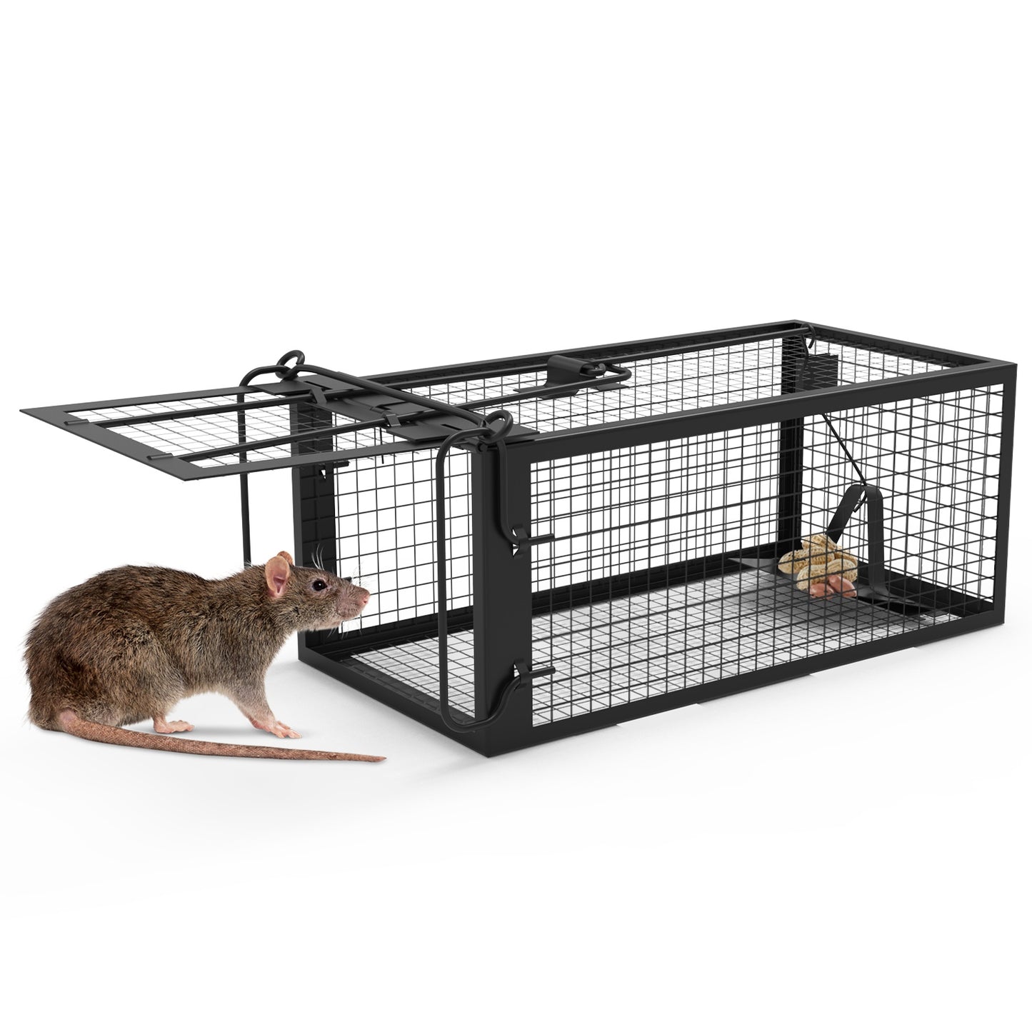 Humane Rodent Trap Cage - Galvanized Steel Live Mouse & Rat Catcher, 2 Pack