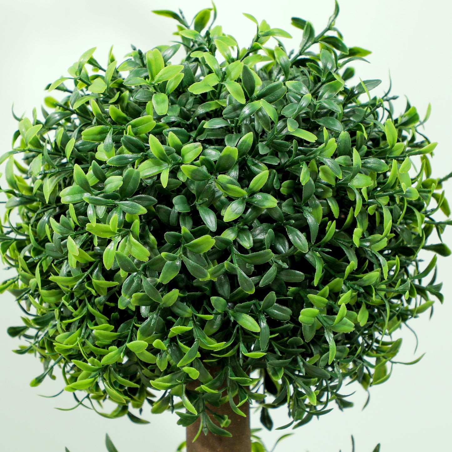 Set of 2 Boxwood Topiary Trees - UV-Protected Faux Plants