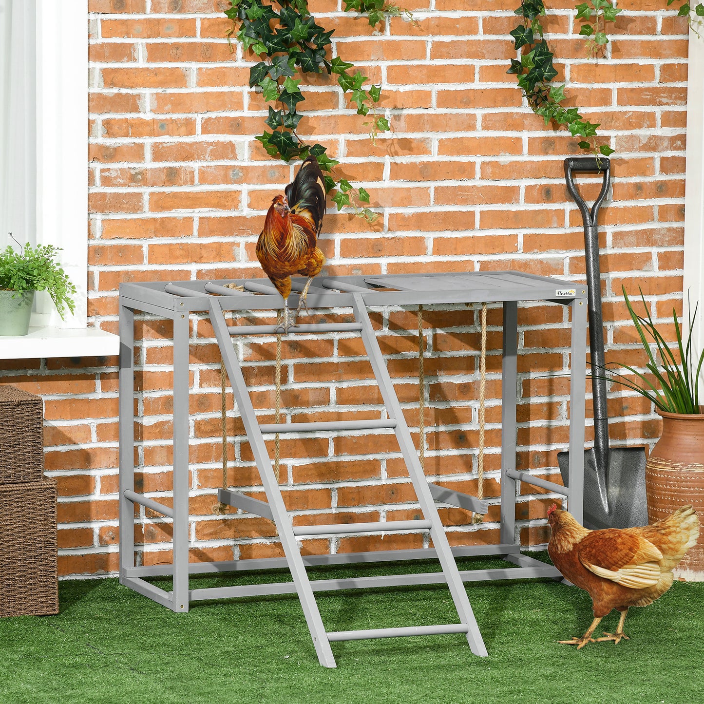 Bird Swing Set for Chickens with Perches and Ladder - Wooden Coop Accessory