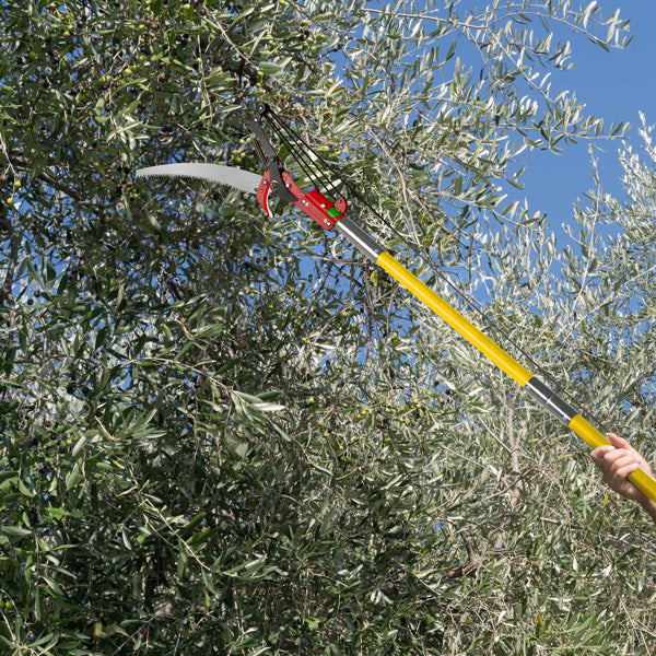 24ft Manual Pole Saw for Tree Pruning - Extendable Long Handle Garden Tool