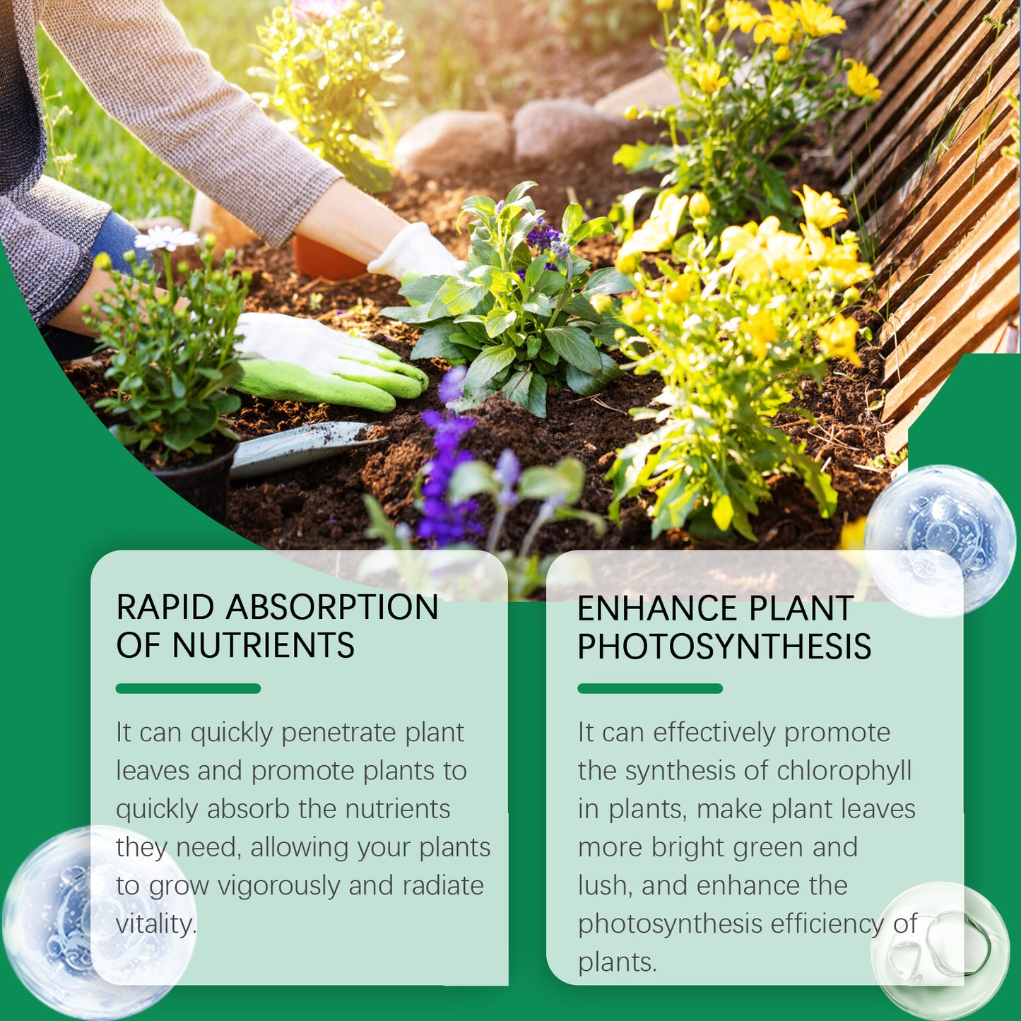 Plant Growth Nutrient Solution for Healthy Leaves & Resistance - Universalmaax