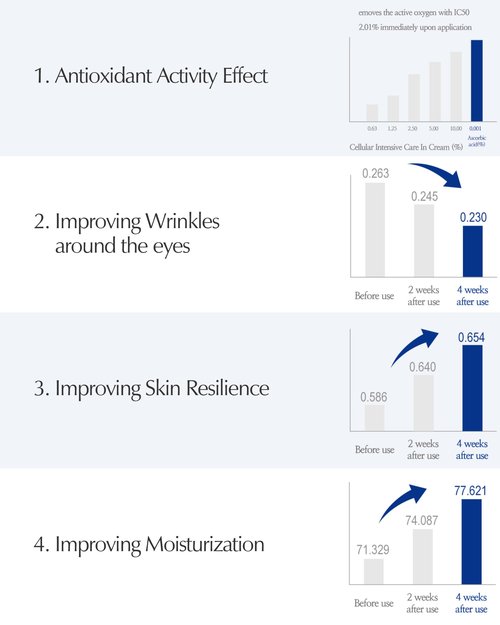 LBB Cellular Intensive Care In Cream - Vegan Antioxidant Face Moisturizer for Balanced and Youthful Skin - Improves Wrinkles, Elasticity - Tangerine Cellular Water, Plant Cell Extracts, 1.69 oz.
