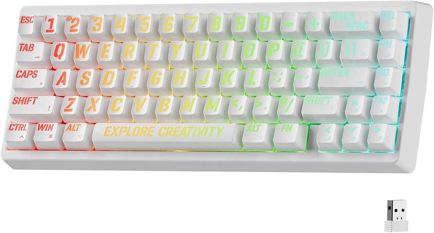 XVX M67 Wireless 60% Percent Keyboard, QMK/VIA Topographic Gaming Keyboard, Tri-Mode Thocky Creamy Mechanical Key Board, Hot Swappable Gasket Mount RGB IMD Tech for Win/Mac, Miami Theme, White