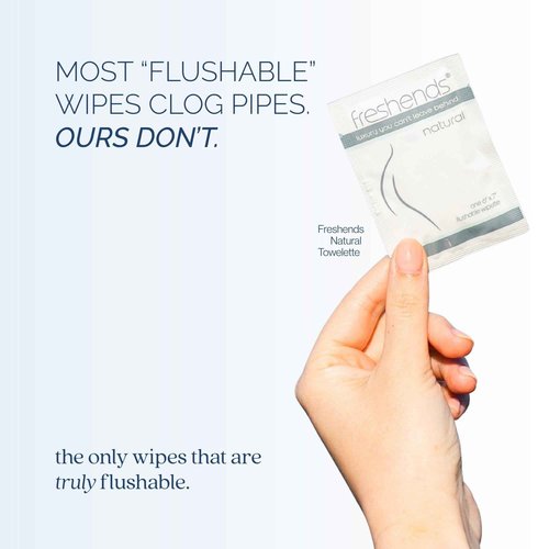 Freshends Flushable Individually Wrapped Wipes – 300 Bulk Pack Luxurious Towelettes, Guest Bathroom Essentials for Weddings, Restaurants, Bars & Clubs – Gray, Travel-Size, Disposable