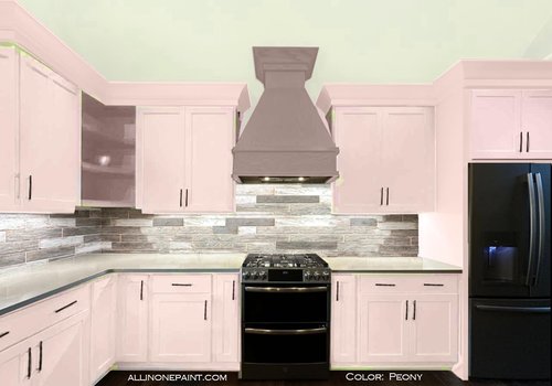ALL-IN-ONE Paint, Durable cabinet and furniture paint. Built in primer and top coat, no sanding needed. Includes our 30 featured color card - Peony (pale pink), 8oz Sample
