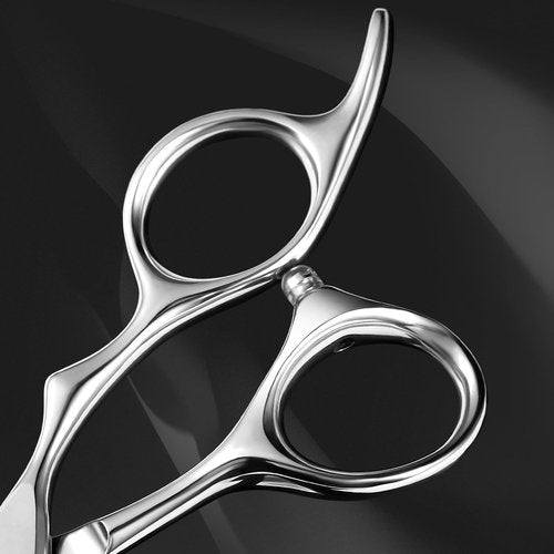 AOLANDUO Hair Cutting Shears - Japanese Stainless Steel, Convex Edge, Ergonomic, Includes Case - 1 Count, 6 in