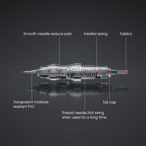 BIOMASER S20 Tattoo Gun Wireless Permanent Makeup Machine kit 10pcs Cartridges Needles for Eyebrow Lip Eyeliner Ombre Powder Brows Microshading Supplies