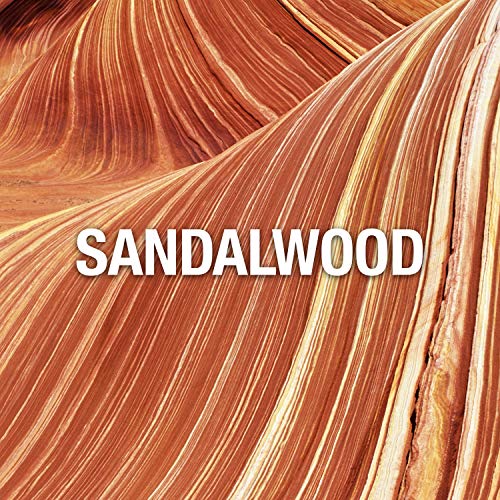 Giorgio Beverly Hills Red Perfume for Women, 3 fl. oz. EDT Spray