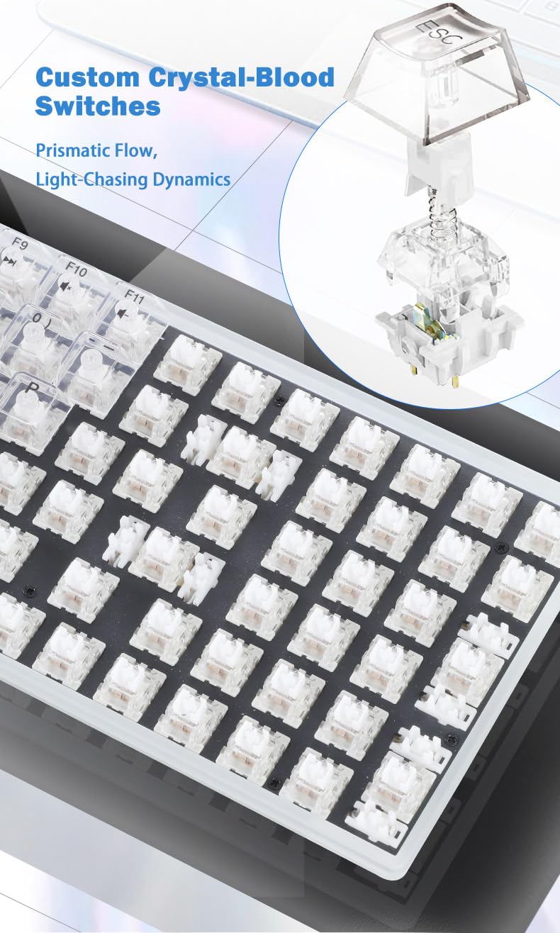 ZyphX Z-Zero 98-Key Mechanical Keyboard, Hot-Swappable RGB, Crystal Clear Housing, Ice Soul Linear Switches, TOP Mount (Crystal)