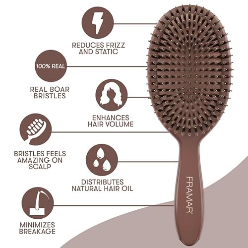 FRAMAR Soft Boar Bristle Hair Brush For Women ? Boars Hair Brush For Women, Boar Brush For Fine Hair, Hairbrush For Fine Hair, Soft Bristle Brush For Slick Back, Volume and Shine - Chocolate