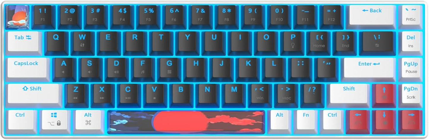 60 Percent Gaming Keyboard 68 Keys Mechanical Keyboard LED Backlit Compact Wired Keyboard with Red Switch for Windows PS4/5 Xbox Gamer(Black-White)
