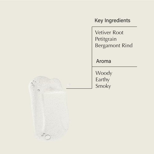 Aesop Reverence Aromatique Hand Wash (16.9 oz) + Eleos Aromatique Hand Balm (2.5 oz) | Set of 2