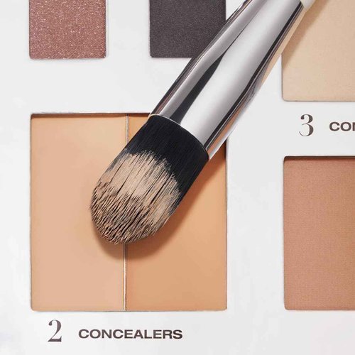 The Essential Brush Set