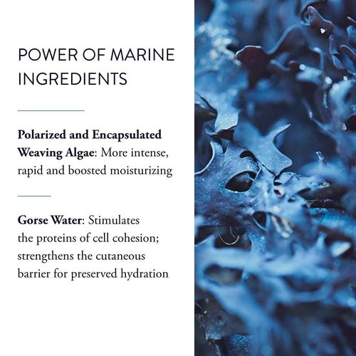 Phytomer Hydrasea Rehydrating Face Moisture Mask | Intense, Effective Hydrating Cream to Restore Moisture & Relieve Dry Skin | Creamy, Lightweight Moisturizing Face Mask | 50ml