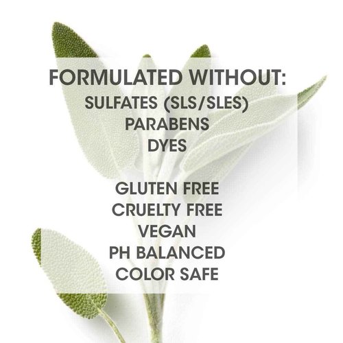 SEVEN Hair Care Satara Volume Conditioner for Women & Men, Sulfate + Paraben Free, Cruelty Free, Argan Oil, Pro Vitamin B5, Hydrolyzed Quinoa, Grapeseed Oil for Flat + Limp Hair Made in USA, 32 oz