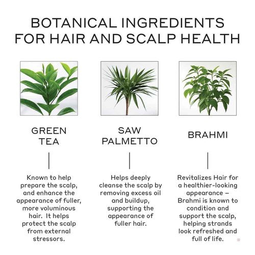 ZENAGEN Revolve Men's Thickening Shampoo | Supports Appearance of Fuller, Healthier-Looking Hair, Developed for Fine & Visibly Thinning Hair, Plant-Based, 5-Minute Treatment, 200 mL / 6.75 oz