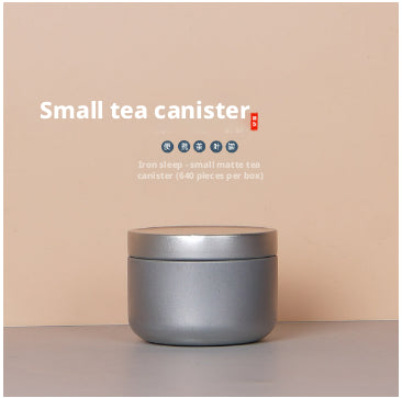 Mini Tea Jar - Silver Kitchen Storage Container, 1 Pack