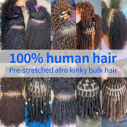 ¡°Afro Kinky Curly Bulk Human Hair 16 Inch, 100 g (2 ¡¿ 50 g Bundles)100% Human Hair for Loc Extensions, Braiding, Mini Twists, Crochet & Loc Repair, #1B Natural Black, with Hook & Comb¡±