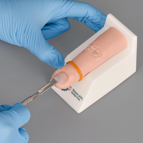 MedEduQuest Ingrown Nail Trainer Kit with Base, Ingrown Nail Simulator for Medical Education, Wound Care Training Model