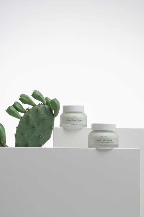 URANG Cactus Oasis Cream | Organic Certified | Vegan | Natural Skin Barrier Lightweight Hydrating Moisturizer | Tamanu Oil & Ceramide Moisturizer | Natural Skin care for Women, Men | 1.69 Oz