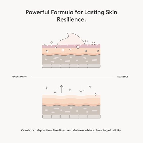 AMEON Holy Cream Moisturizer - Ultra-Nourishing, Skin Tone Perfecting, Regenerating, Lightweight, Gentle, Anti-Aging, Hydrating