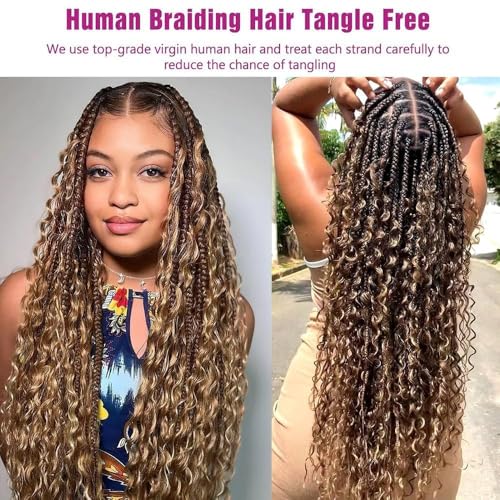 Human Braiding Hair 3 Bundles/Pack 150g Highlight 4/27 Curly Water Wave Bulk Hair for Braiding No Weft 12A Brazilian Virgin Human braiding Hair for Boho Braids (Highlight 4/27 Color, 20 inch)
