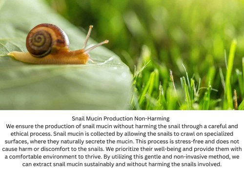 ZAIN1 Natural Hair growth set of shampoo, conditioner and hair serum with Snail Mucin, Biotin, Niacinamide, castor oil, caffeine, jojoba oil, vitamin e, Chamomile, rosemary, Hyaluronic acid.