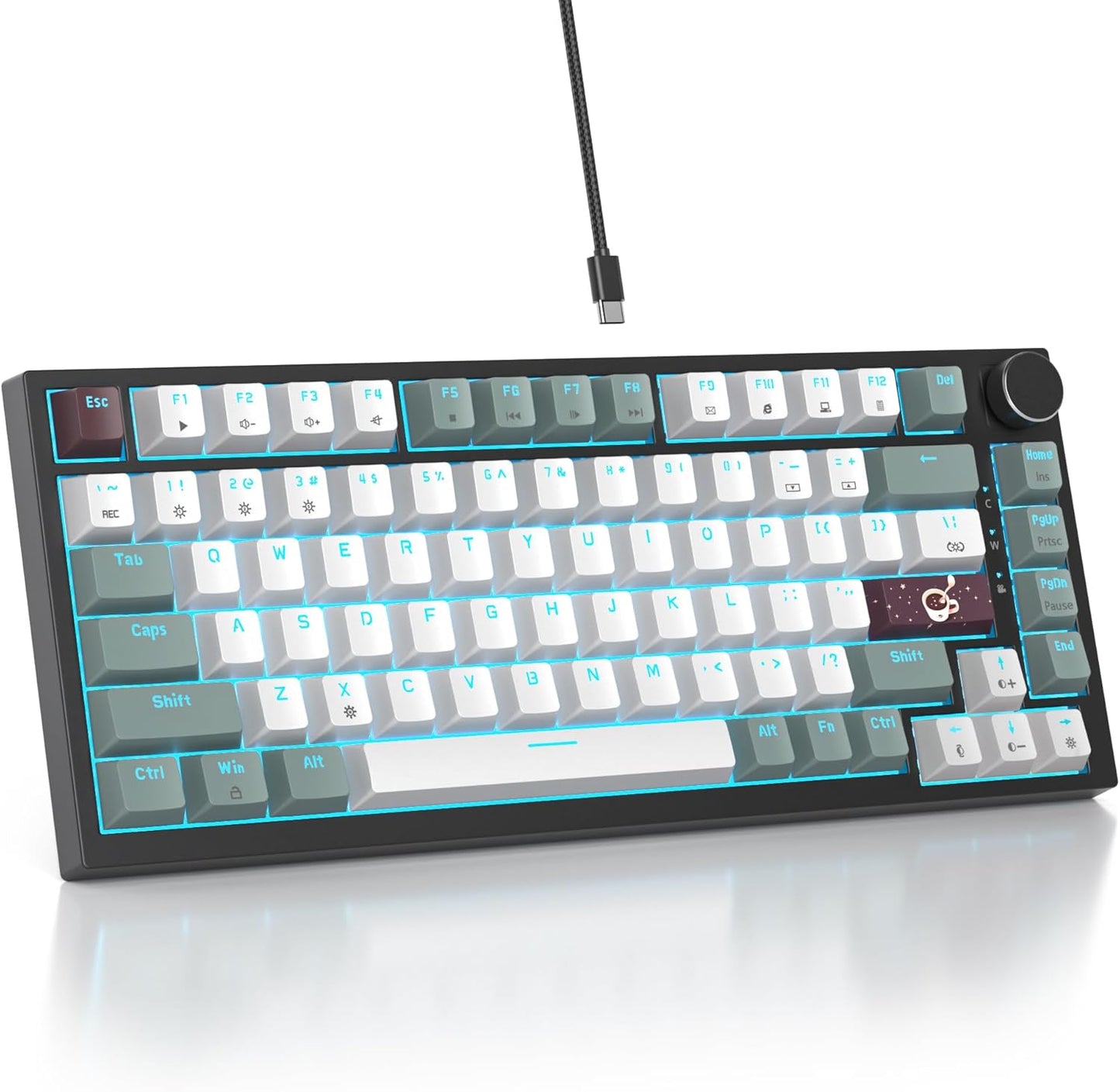 75 Percent Keyboard Gasket-Mounted with Sound Absorbing Pads, 82-Key Compact Wired RGB Mechanical Gaming Keyboard Hot-Swap Socket for Win, Black