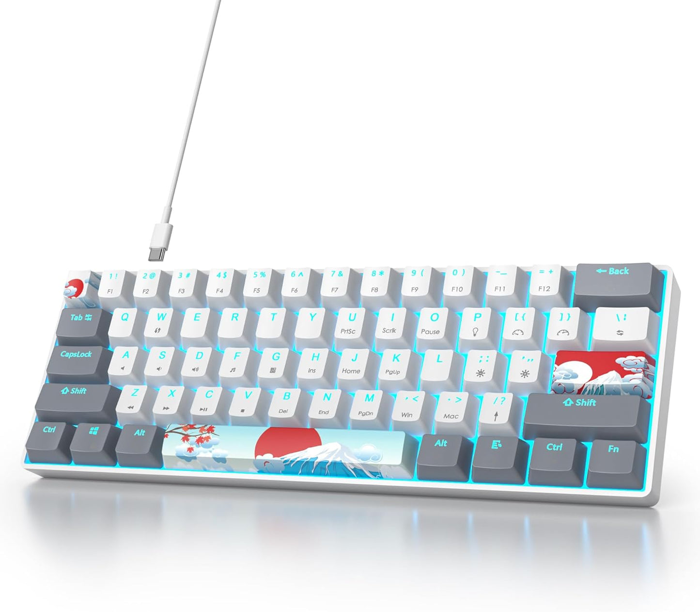 60 Percent Gaming Keyboard 68 Keys Mechanical Keyboard LED Backlit Compact Wired Keyboard with Red Switch for Windows PS4/5 Xbox Gamer(Black-White)